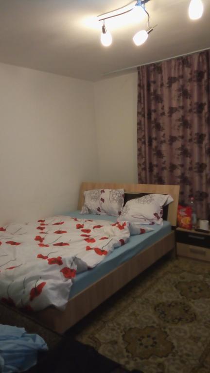 Central Apartment 2 Timisoara Luaran gambar