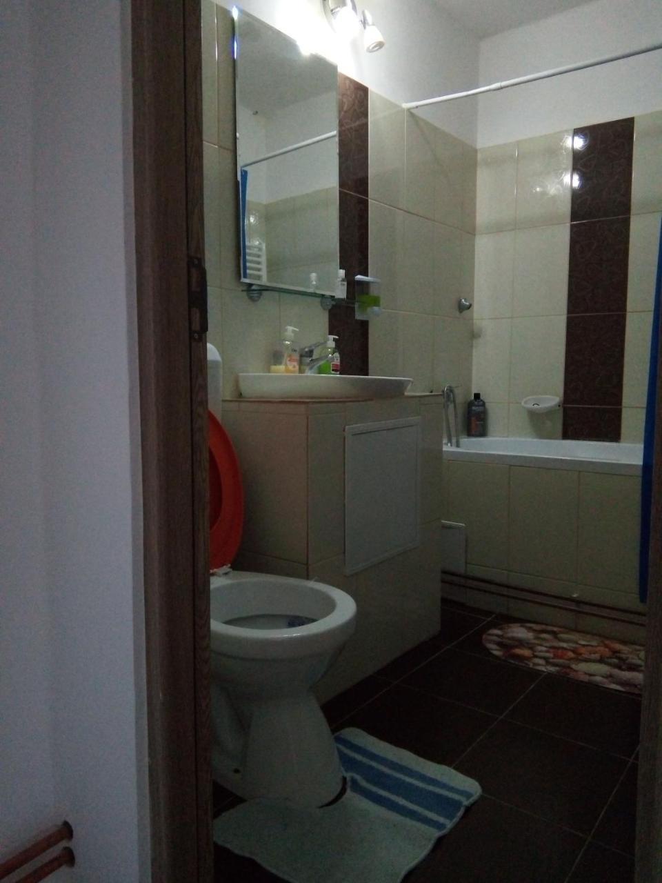 Central Apartment 2 Timisoara Luaran gambar